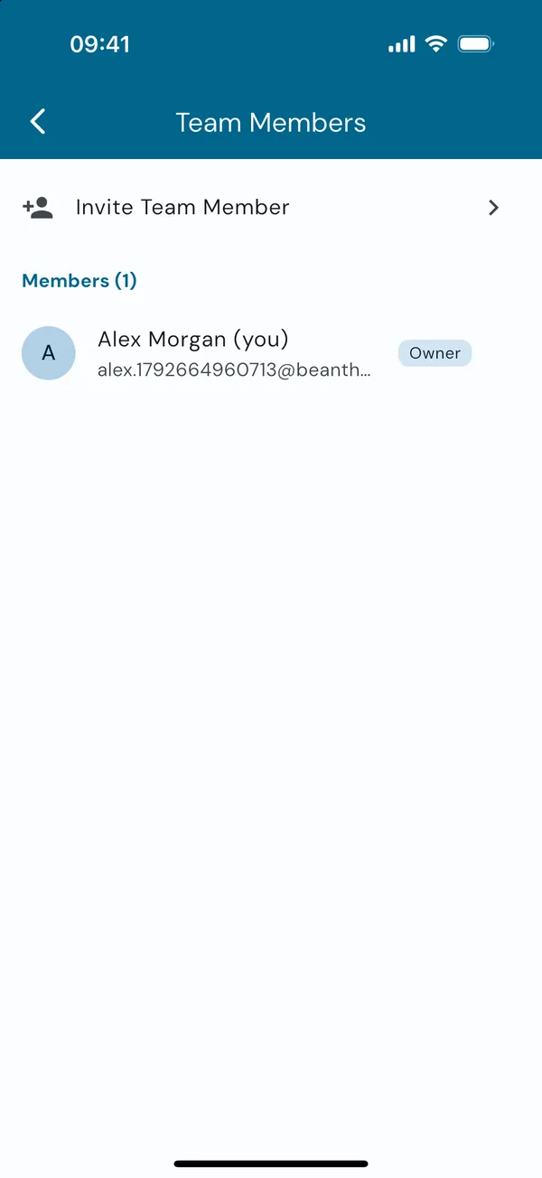 Team members and pending invites